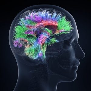 Neuroathletik Blog